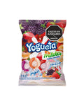 YOGUETA SURTIDO *24