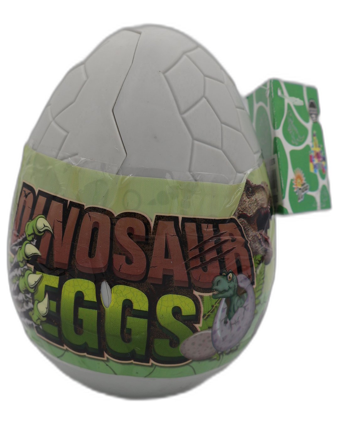 DINOSAUR EGGS MARA